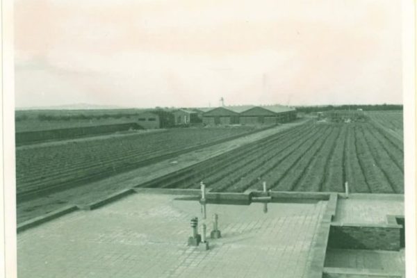 043ffabc-ee6f-4ce5-aa32-0e5fd60255ff-1024x791