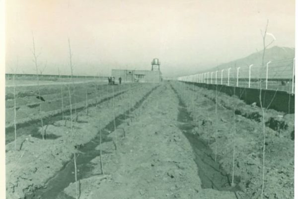 74704761-5588-4be4-a019-dc75b646d58b